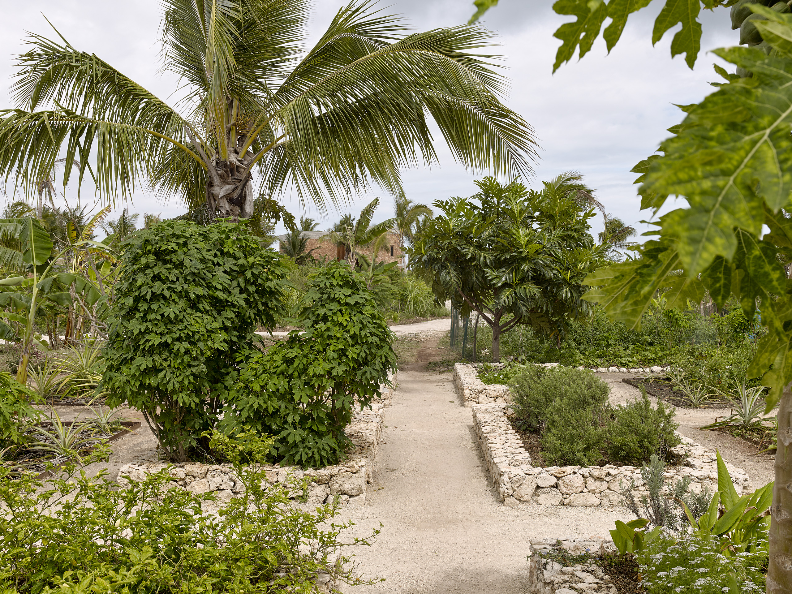 Kizikula, Kizimkazi, Zanzibar